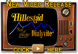 Hillestad/Dialyvite video